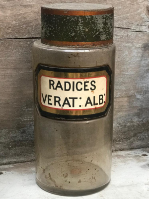 19th Century Apothecary Jar - Radices Verat: Alb: