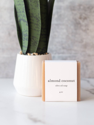 Almond Coconut Olive Oil Soap By Roote