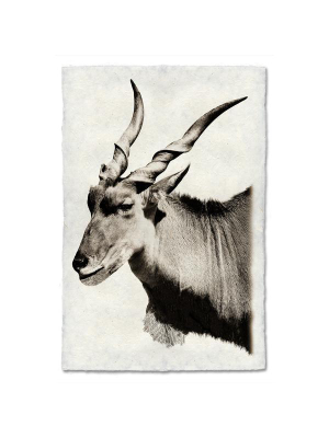 Safari Eland Print