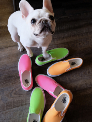 Vans Neon Slip-on Sneaker