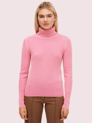 Contrast Rib Turtleneck