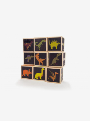 Dinosaur Blocks