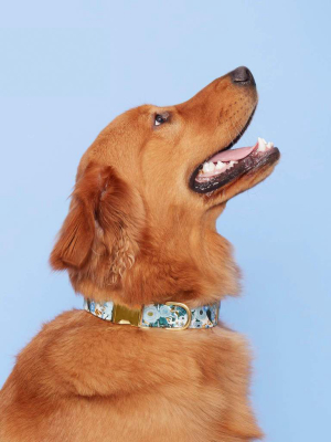 Petite Petals Blue Dog Collar