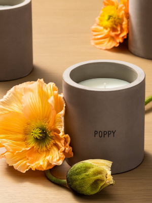 9.3oz Cement Candle Poppy - Hearth & Hand™ With Magnolia