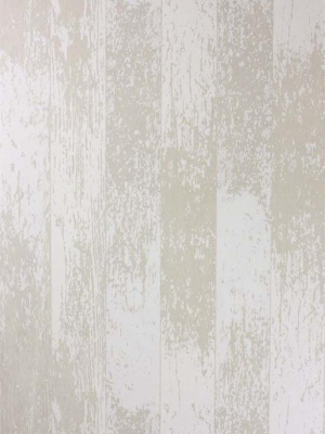 Driftwood Wallpaper In White/gilver From The Enchanted Gardens Collection By Osborne & Little