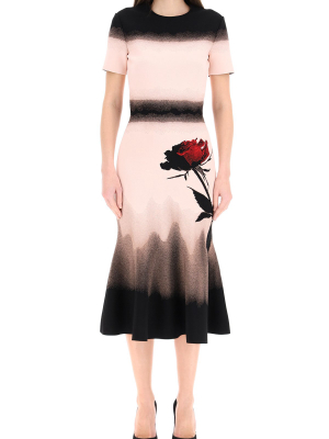 Alexander Mcqueen Knit Midi Dres