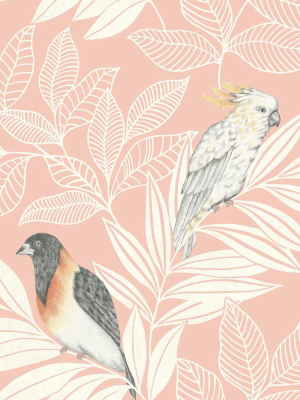 Paradise Island Birds Wallpaper In Pink Sunset And Ivory From The Boho Rhapsody Collection By Seabrook Wallcoverings