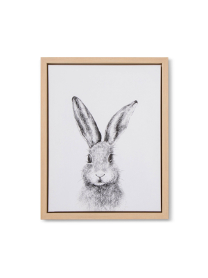 11x14 Framed Canvas Bunny - Cloud Island™