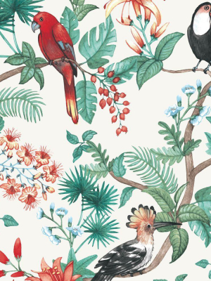 Birds Of Paradise Self-adhesive Wallpaper In Coconut Cream By Tempaper