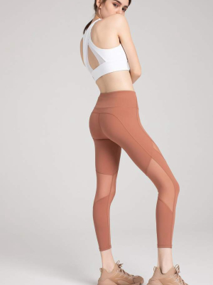 Soft Clay Mesh Panel Leggings