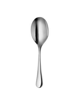 Radford Bright Gourmet Serving Spoon