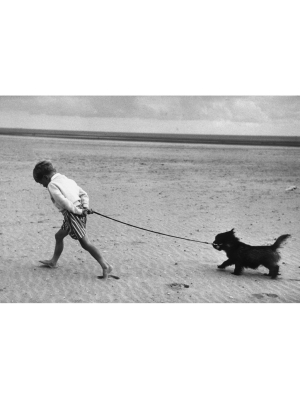 "walking The Dog" From Getty Images