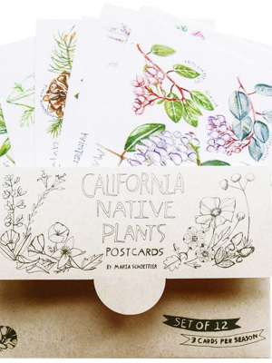 Ca Native Plant Postcard Set