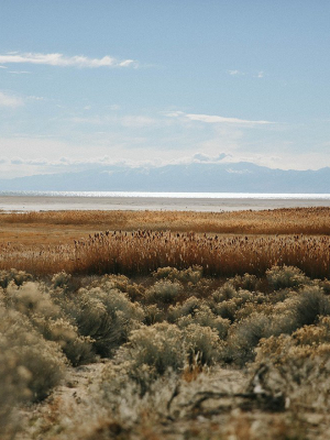 Photographic Print | Antelope Island