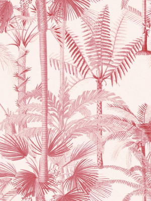 Palmera Cubana Wallpaper In Pink From The Wallpaper Compendium Collection By Mind The Gap