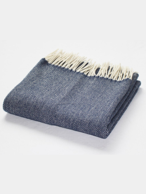 Cashmere Pashmina In Navy