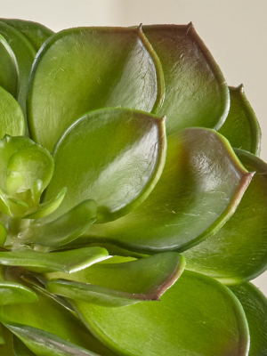 Artificial Echeveria Green Succulent Stem