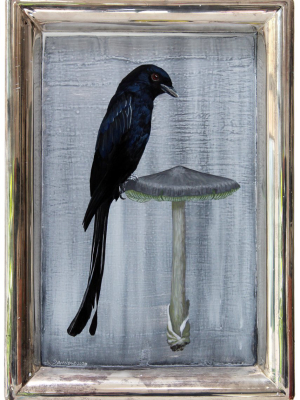 Bird Painting On Tray - Drongoo