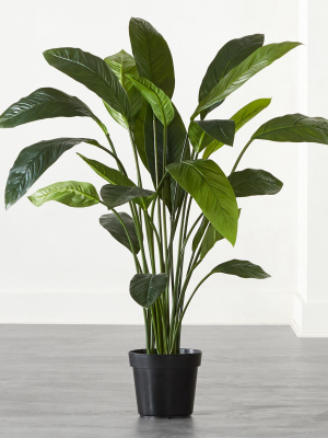 Faux Potted Leaf Plant 4'