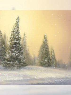 Christmas Morning