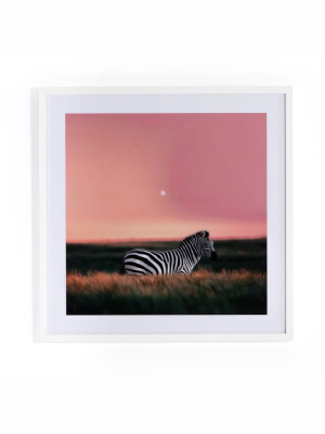 Framed Print - I Notice