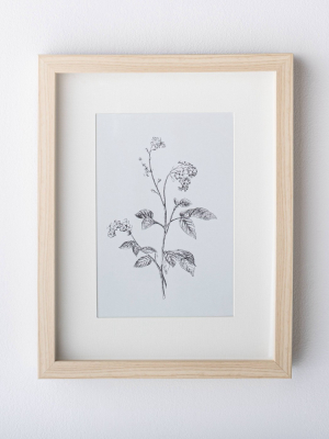 11" X 14" Wild Blossom Art Print - Threshold™ Designed With Studio Mcgee