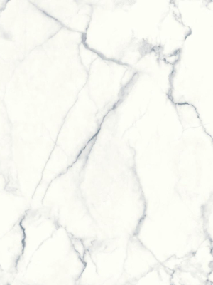 Carrara Marble Peel & Stick Wallpaper In Blue And Grey By Roommates For York Wallcoverings