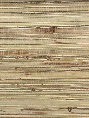 Grasscloth Wallpaper In Tan And Ivory From The Winds Of The Asian Pacific Collection By Burke Decor