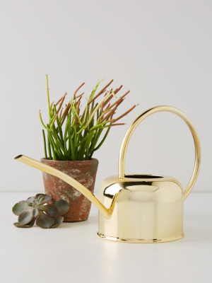Golden Watering Can