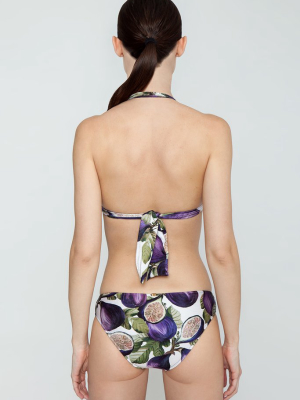 Hipster Bikini Bottom - Fig Purple Print