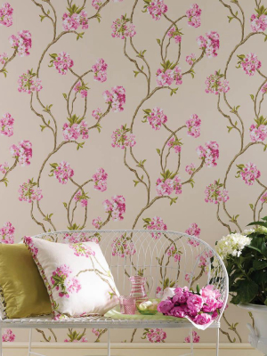 Orchard Blossom Wallpaper 01 By Nina Campbell For Osborne & Little