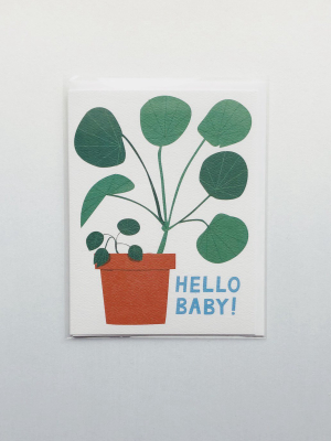 Hello Baby (houseplant) Card