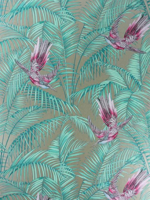 Sunbird Wallpaper In Gold And Fuchsia By Matthew Williamson For Osborne & Little