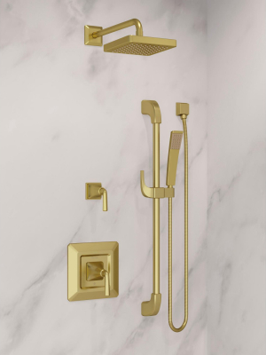 Pfister Lg16-3fw Park Avenue Single Function Hand Shower Package - - Brushed Gold