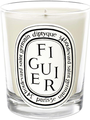 Figuier (fig) Candle