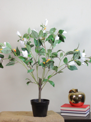 Northlight 2.7' Unlit Artificial Potted White Lily Magnolia Flowering Tree