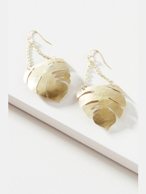 Nashelle Fern Drop Earrings