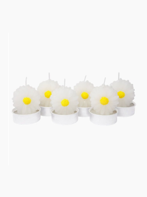 Daisy Tea Lights - Daisy White