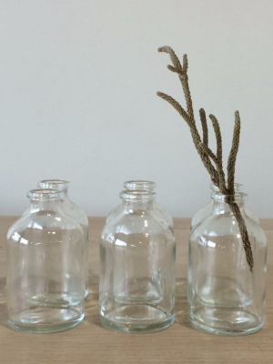 Tiny Glass Bottles - Set Of 6