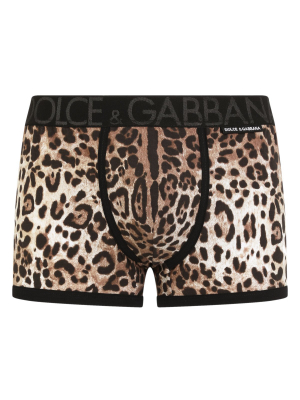 Dolce & Gabbana Leopard-print Boxers