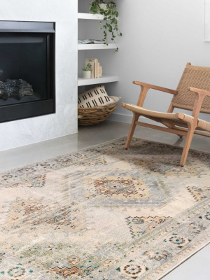 Oatmeal/ Silver Isadora Rug