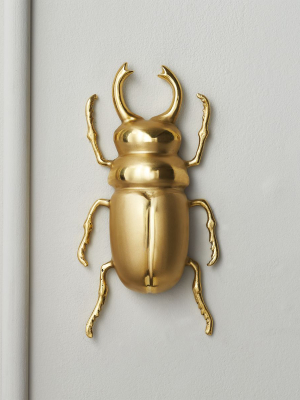 Beatrix Brass Beetle