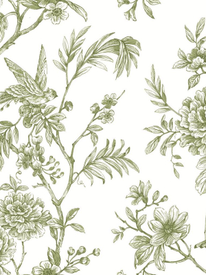 Jessamine Floral Trail Wallpaper In Green From The Moonlight Collection By Brewster Home Fashions