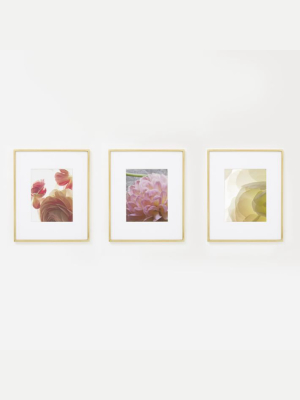 Gallery Frames (set Of 3)