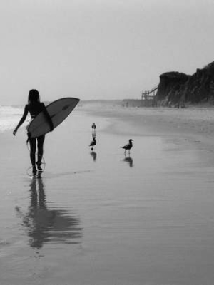 Surf Day, Mtk By John Andrulis