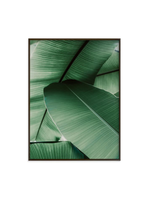 Minted For West Elm - Tropical Leaves