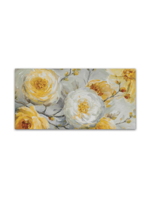 24" X 47" Sunshine By Lisa Audit - Trademark Fine Art