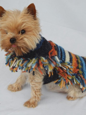 Striped Doggie Poncho With Multicolor Fringe