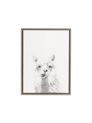 24" X 18" Alpaca Framed Canvas Art - Uniek