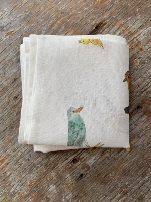 Handkerchief-isabelle Boinot: Birds